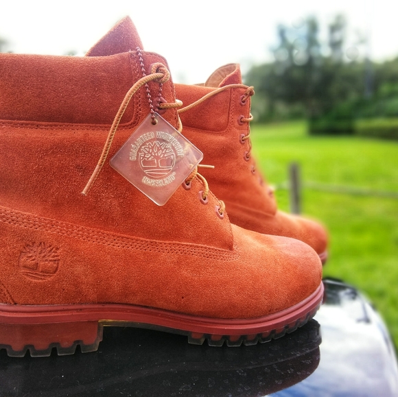 autumn timberlands